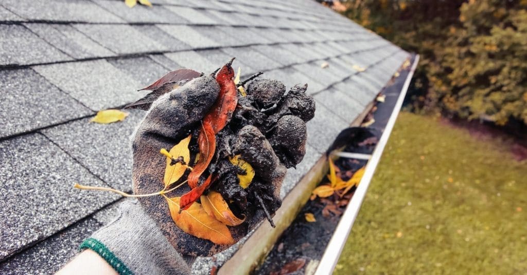 gutter cleaning in Chicago iLLINOIS Chicago Gutter Cleaning service