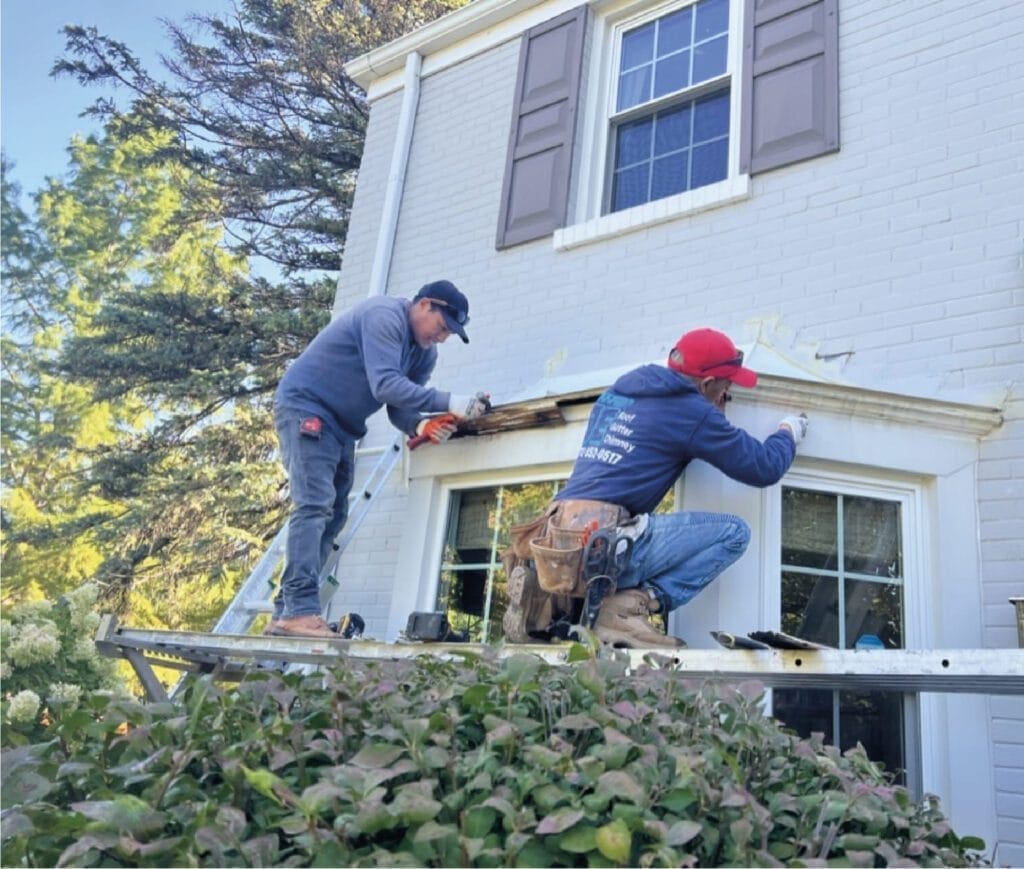 roof bay window repair in my area