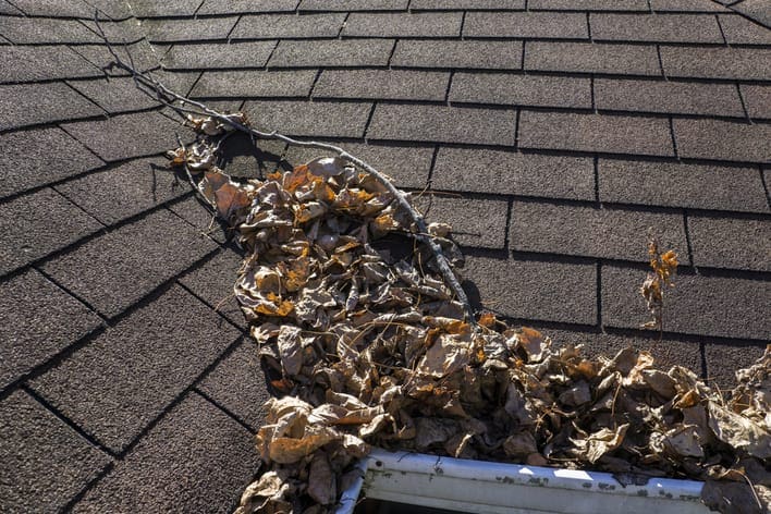 Gutter Cleaning - Leaves and Debris from Nearby Trees
